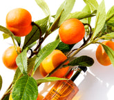 Radiance - 12h  Serum
