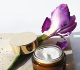 Sève Miracle - The Cream - day & night